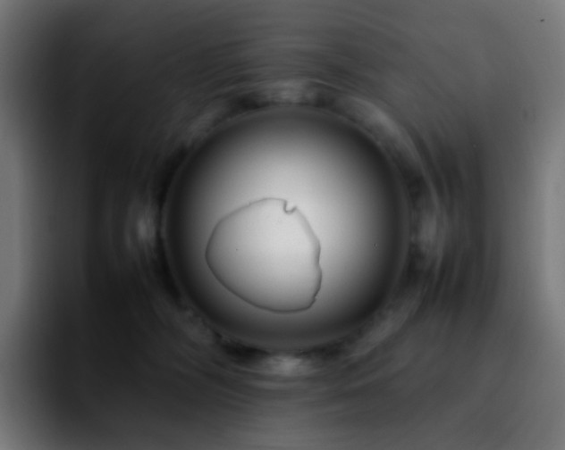 X0000092230326200709211030