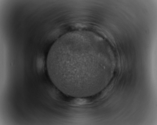 X0000092230328200709211030