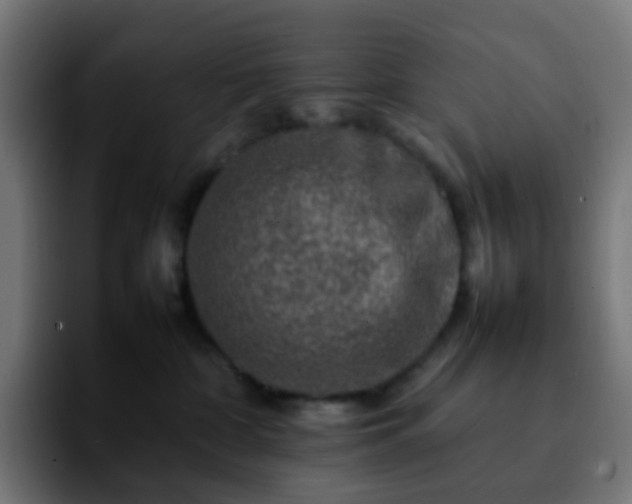 X0000092230332200709211030