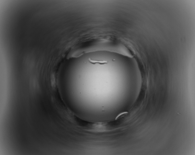 X0000092230335200709211030