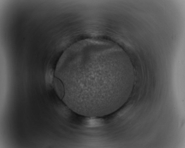 X0000092230336200709211030