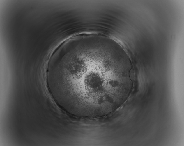 X0000092230337200709211029