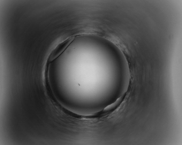 X0000092230340200709211029