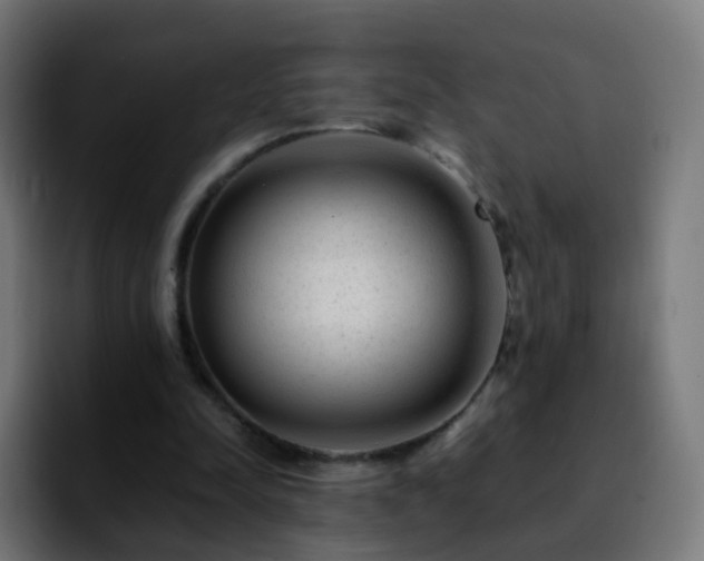 X0000092230342200709211029