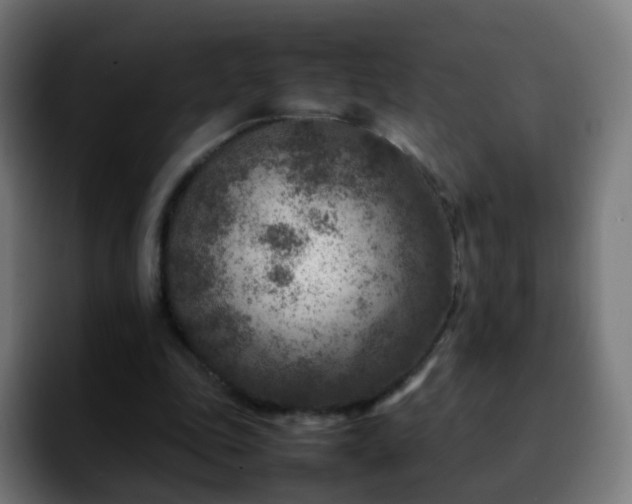 X0000092230343200709211029