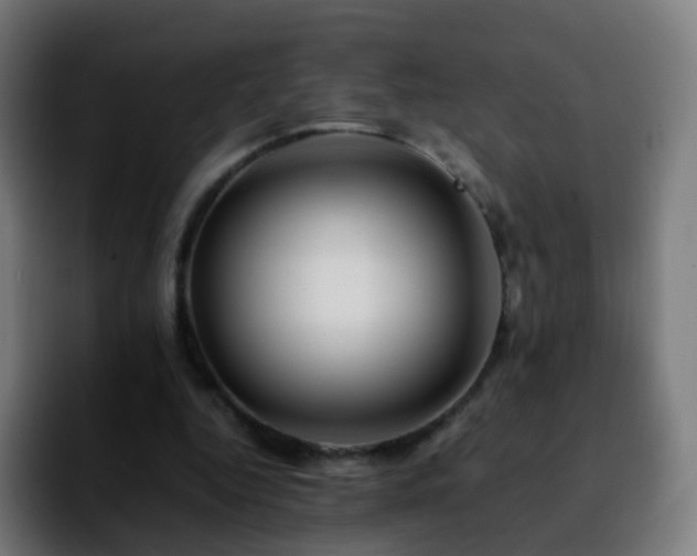 X0000092230344200709211029