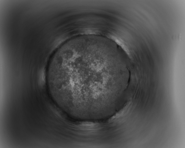 X0000092230347200709211029