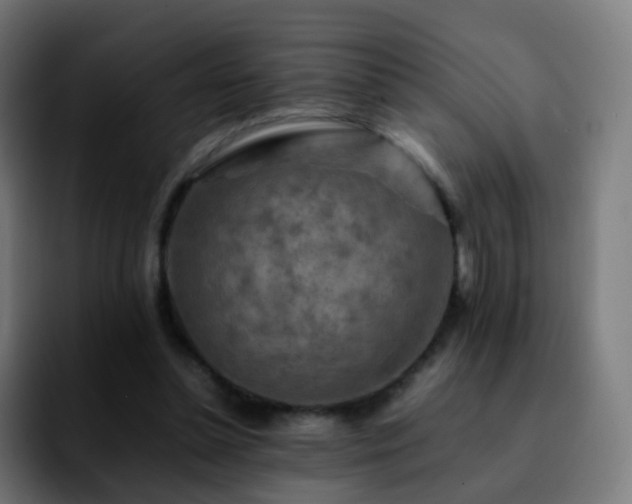 X0000092230348200709211029