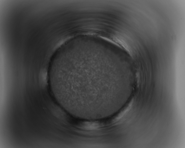 X0000092230351200709211029