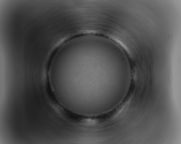 X0000092230352200709211029