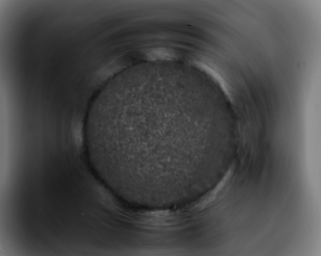 X0000092230353200709211029
