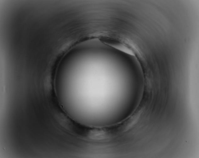 X0000092230354200709211029