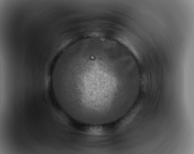 X0000092230355200709211029