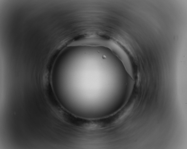 X0000092230356200709211029