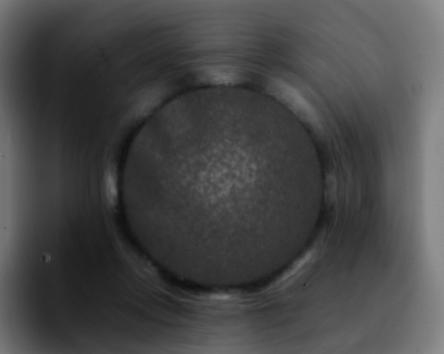 X0000092230358200709211030