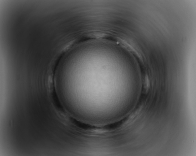 X0000092230360200709211030