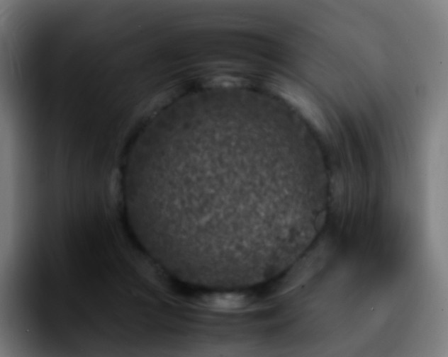 X0000092230361200709211030