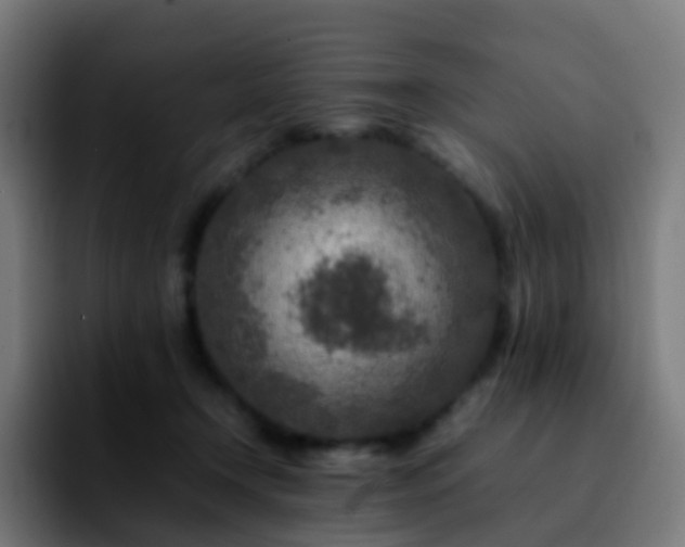 X0000092230366200709211030