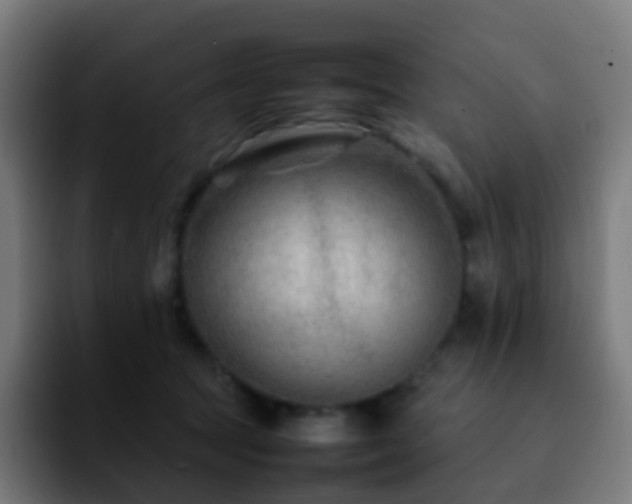 X0000092230369200709211030