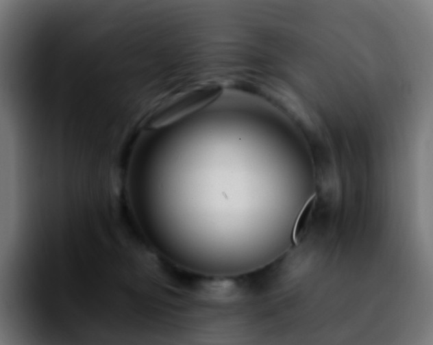 X0000092230374200709211030