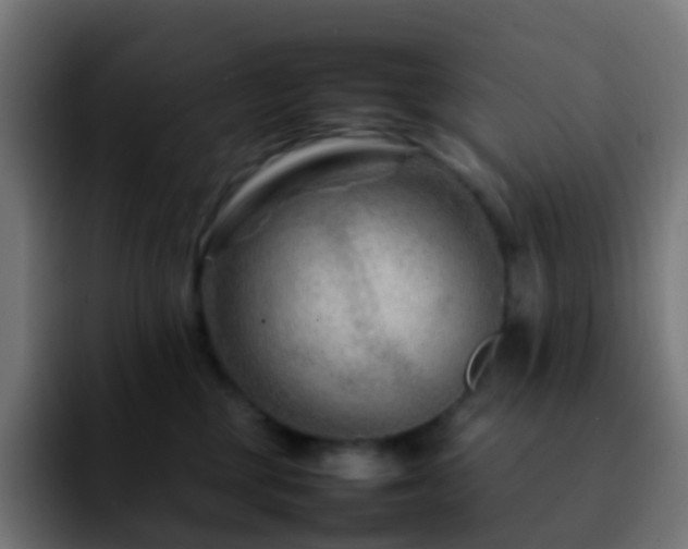 X0000092230377200709211030