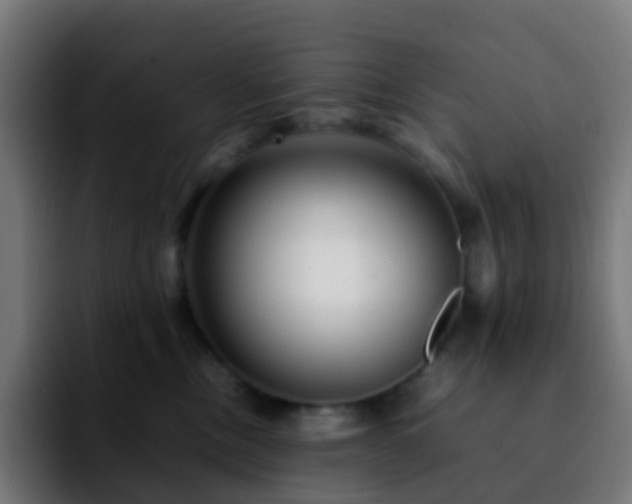 X0000092230378200709211030