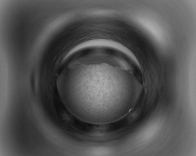 X0000092230382200709211030