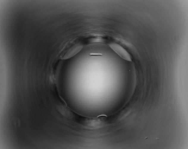 X0000092230384200709211030