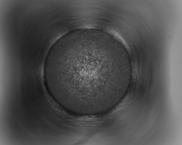 X0000092230386200709211029