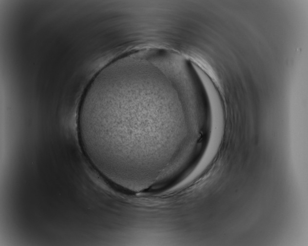 X0000092230389200709211029