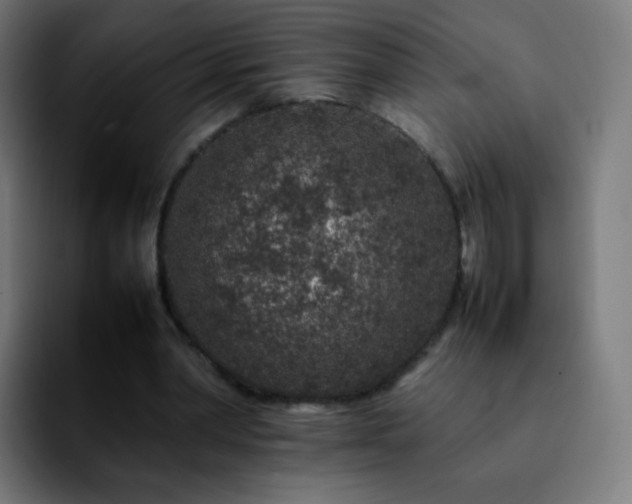 X0000092230390200709211029