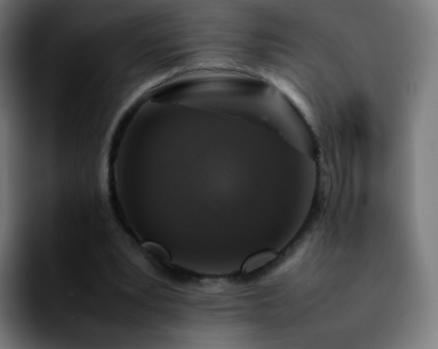 X0000092230391200709211029