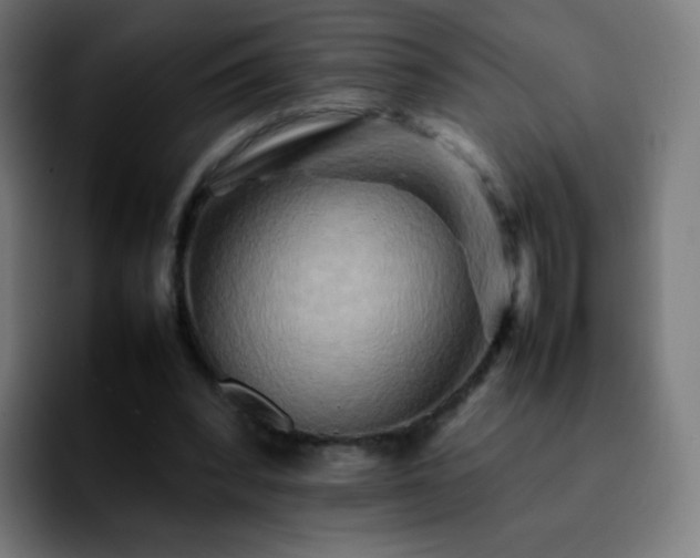 X0000092230392200709211029