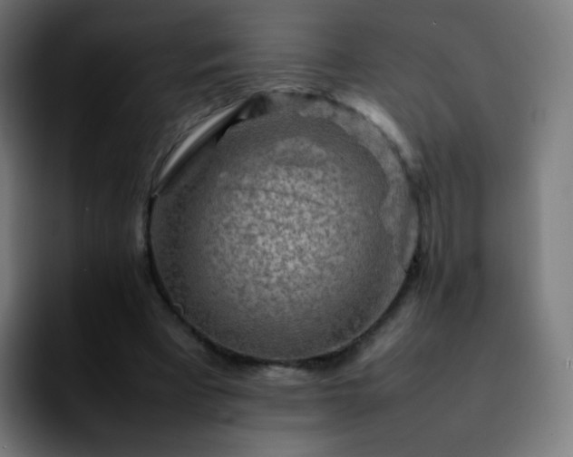 X0000092230393200709211029
