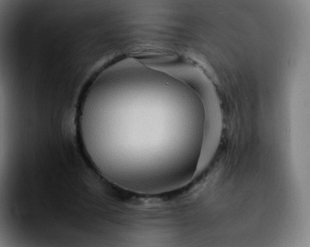 X0000092230395200709211029