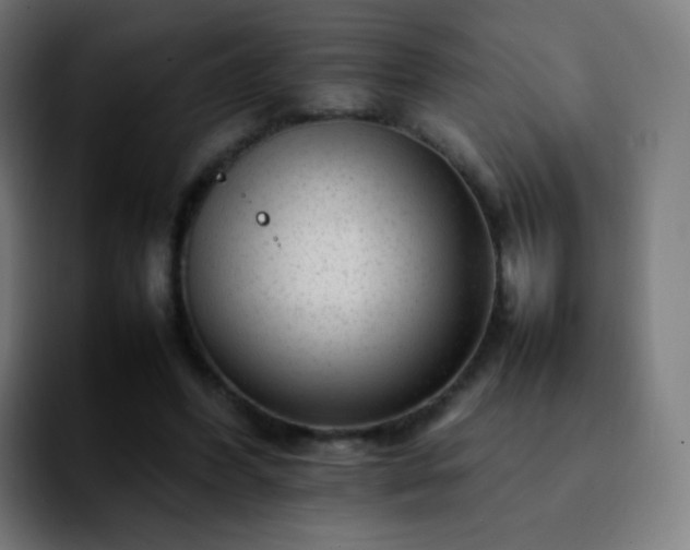 X0000092230396200709211029