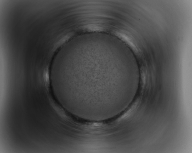 X0000092230398200709211029
