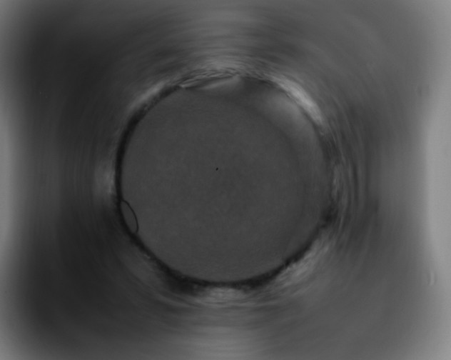 X0000092230399200709211029
