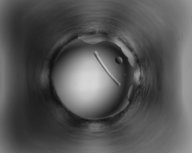 X0000092230400200709211029