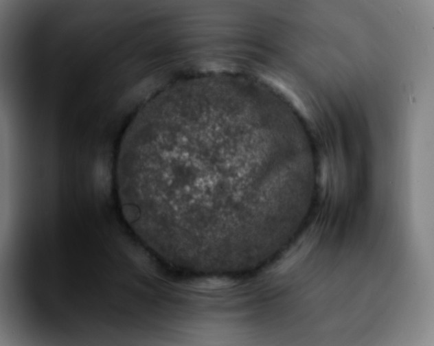 X0000092230402200709211029