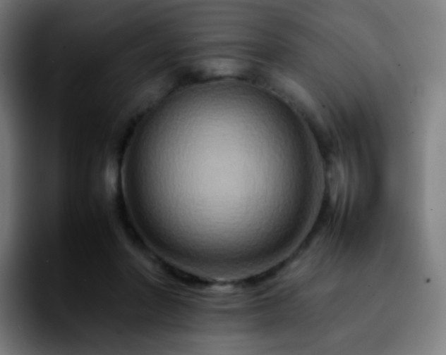 X0000092230406200709211029