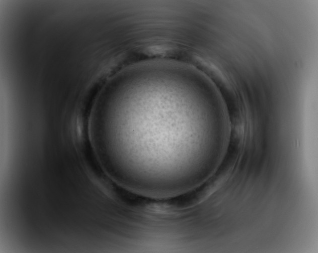 X0000092230408200709211029