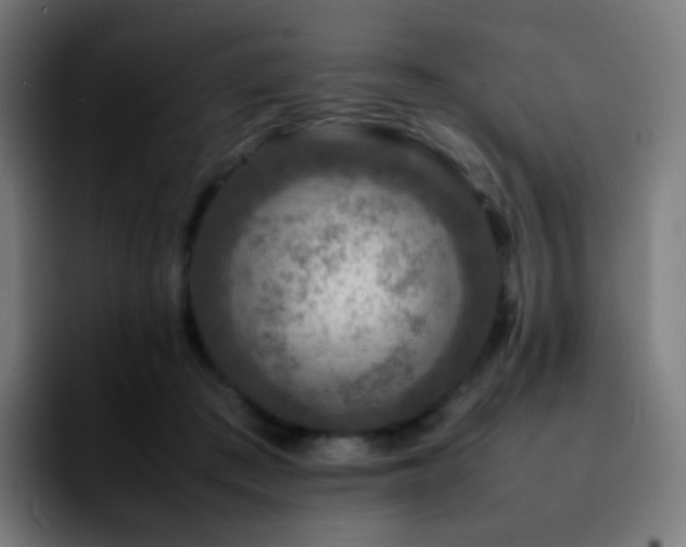 X0000092230409200709211029