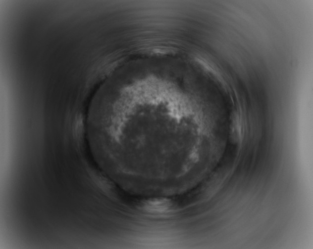 X0000092230410200709211029