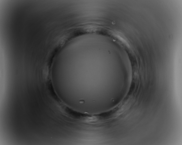 X0000092230411200709211029