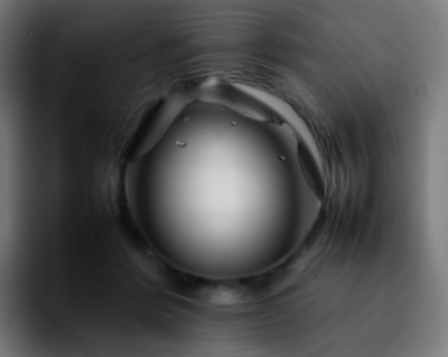 X0000092230412200709211029
