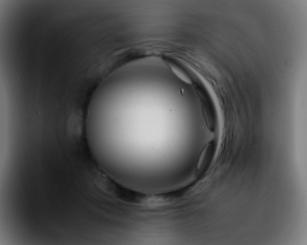 X0000092230413200709211029