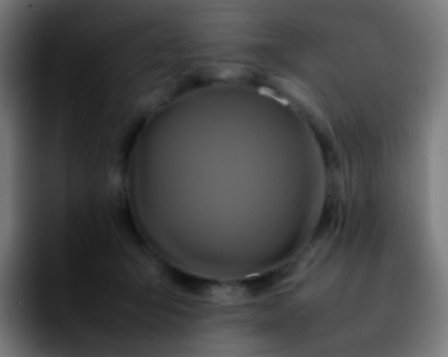 X0000092230415200709211029