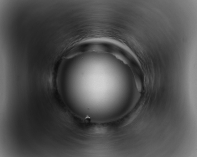 X0000092230416200709211029