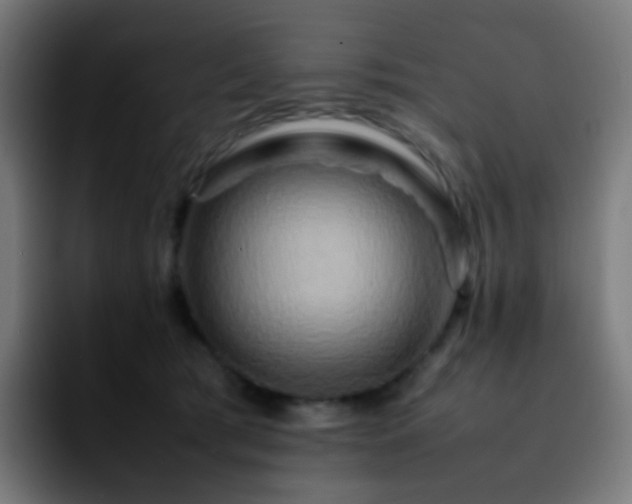 X0000092230417200709211029